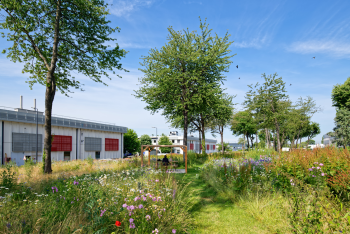 Photo – Transaction AGILYS : location de 295 m² de bureaux & activités à Courtaboeuf- Parc Mosaïc