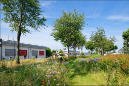 Photo – Transation : 428 m² pour une salle de CROSSFIT à Courtaboeuf Paris-Saclay