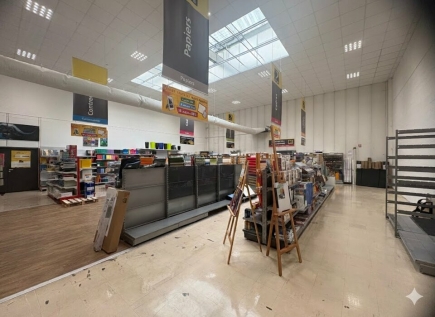 Activités / entrepôts à louer – SAVIGNY-LE-TEMPLE (77176) – 3