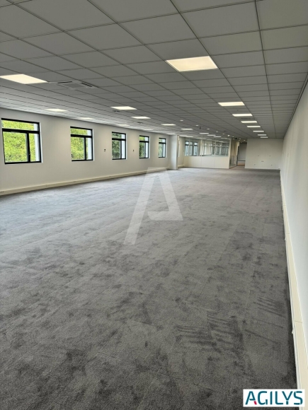 Activités / entrepôts à louer – LISSES (91090) – 5