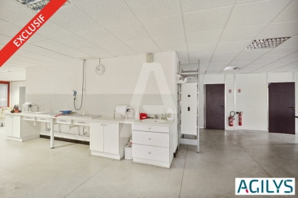 Activités / entrepôts à vendre – LES ULIS (91140) – 1