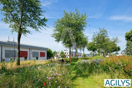 Activités / entrepôts à louer – VILLEBON SUR YVETTE (91940) – 5