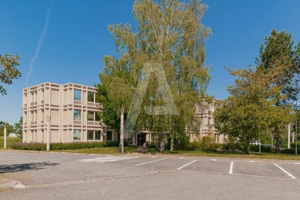 Activités / entrepôts à vendre – SAINT AUBIN (91190) – 2