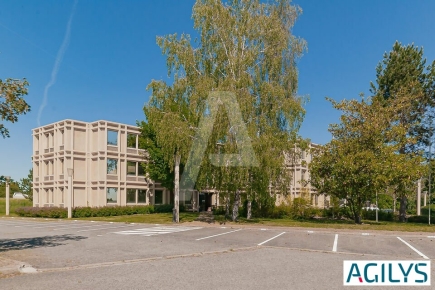 Activités / entrepôts à vendre – SAINT AUBIN (91190) – 2