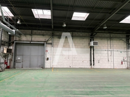 Activités / entrepôts à louer – PALAISEAU (91120) – 5