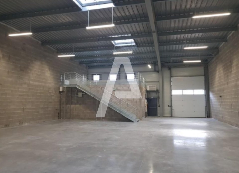 Activités / entrepôts à louer – CROISSY BEAUBOURG (77183) – 1