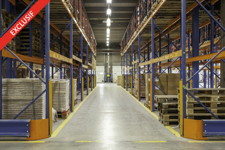 Activités / entrepôts à louer – COLLÉGIEN (77090) – 1