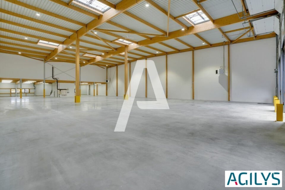 Activités / entrepôts à louer – BRIE COMTE ROBERT (77170) – 1