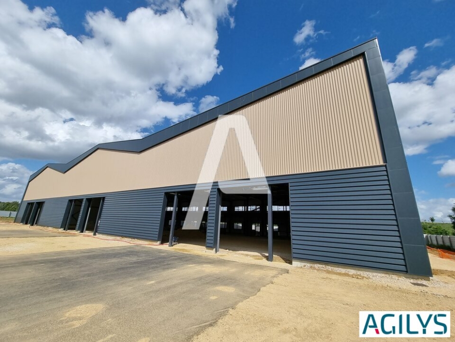 Activités / entrepôts à vendre – MOISSY CRAMAYEL (77550) – 1