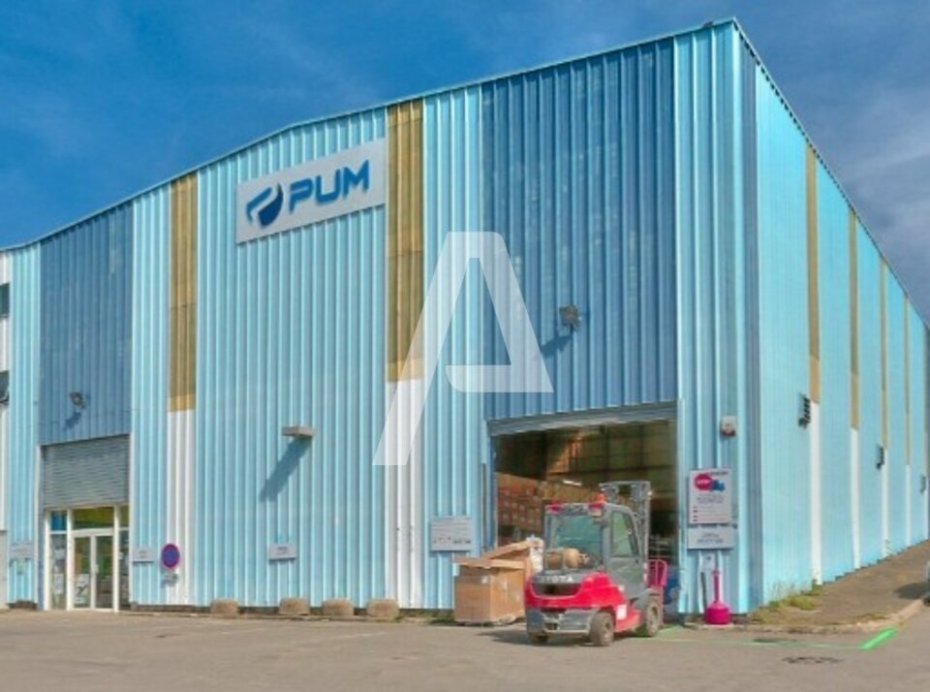 Activités / entrepôts à louer – CHILLY-MAZARIN (91380) – 1