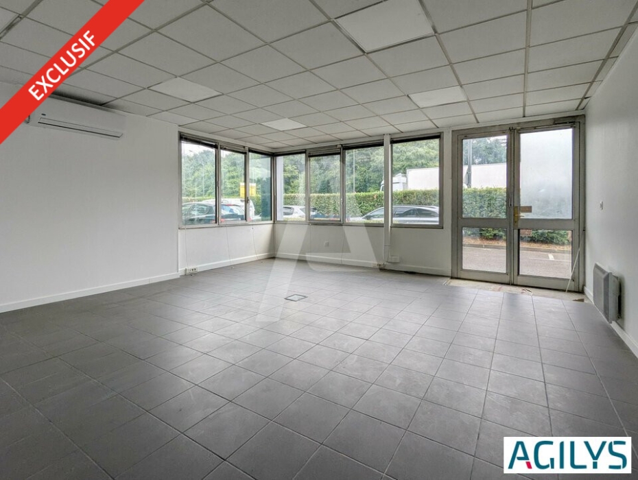 Activités / entrepôts à vendre – MASSY (91300) – 1