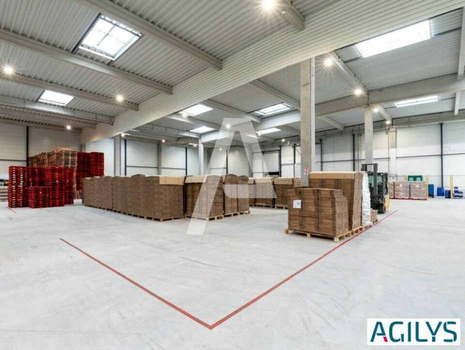 Activités / entrepôts à louer – SUCY-EN-BRIE (94370) – 1
